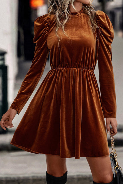 Chestnut Velvet Dress