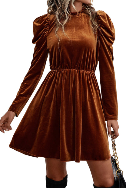 Chestnut Velvet Dress